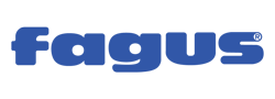 fagus fagus